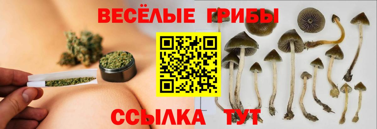 Лысьва  Псилоцибиновые грибы прущие грибы  Псилоцибиновые грибы Psilocybe  Вход с VPN 