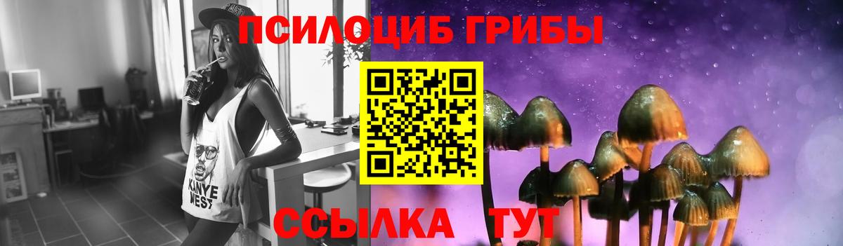 Псилоцибиновые грибы прущие грибы Лысьва
